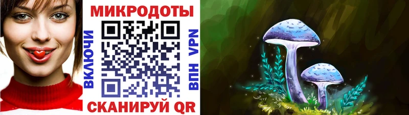 Псилоцибиновые грибы прущие грибы Ладушкин